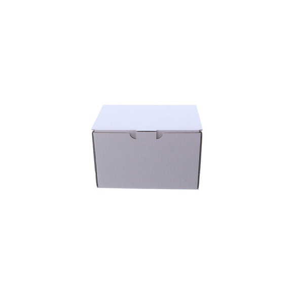 6 Pack 375ml Beer Can Mailing & Postage Box (Upright)