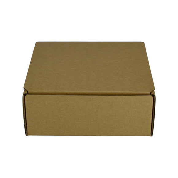 One Piece Postage & Mailing Box 10389