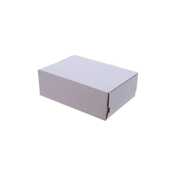 Self-Sealing Mailing Box 175