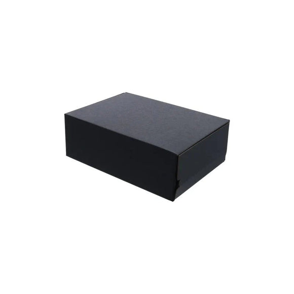 Self-Sealing Mailing Box 175