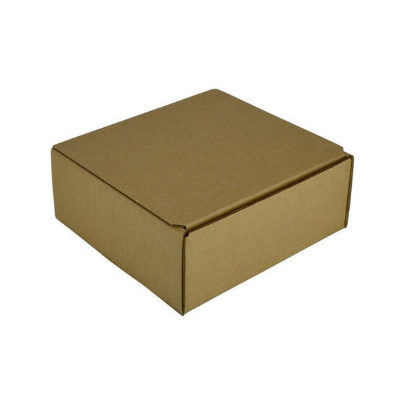 One Piece Postage & Mailing Box 10389 - ACP