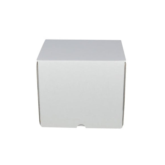One Piece Postage & Mailing Box 5314 - ACP
