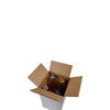 SAMPLE - RSC Shipping Carton 4 Beer Bottles (INSERTS SOLD SEPARATELY 700-24812) - Kraft White [1BW] - ACP